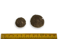 F 13011
<br/>
<br/>
<em></em>